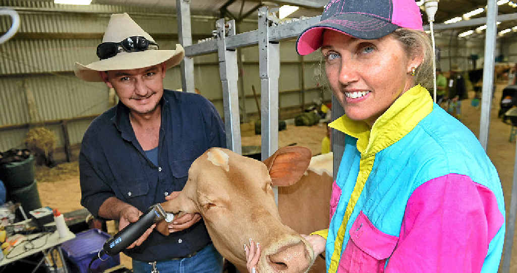 Greg Murphy and Sam Boxsell, from Palmwoods, add the final touches to their entry for the big show. Greg Murphy and Sam Boxsell, from Palmwoods, add the final touches to their entry for the big show.